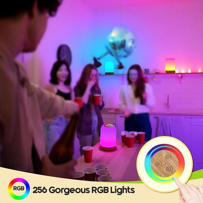 LED Touch Lamp RGB Colour